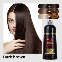 Load image into Gallery viewer, Hair Dye Shampoo 500ml Instant Fast Permanent Natural DYE Color Unisex