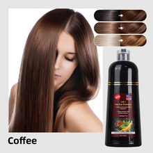 Load image into Gallery viewer, Hair Dye Shampoo 500ml Instant Fast Permanent Natural DYE Color Unisex