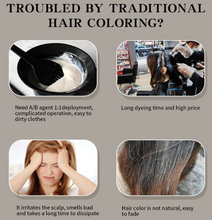 Load image into Gallery viewer, Hair Dye Shampoo 500ml Instant Fast Permanent Natural DYE Color Unisex