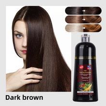 Load image into Gallery viewer, Hair Dye Shampoo 500ml Instant Fast Permanent Natural DYE Color Unisex 
