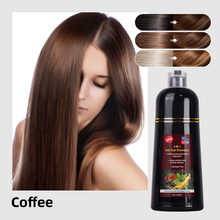 Load image into Gallery viewer, Hair Dye Shampoo 500ml Instant Fast Permanent Natural DYE Color Unisex 
